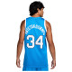 Nike Ανδρική φανέλα Hellas Giannis Antetokounmpo Limited Road